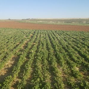 Meet your Posher, Jane